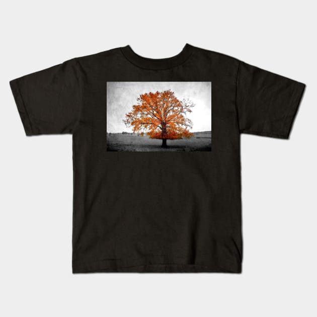 A Tree in Autumn Kids T-Shirt by rosedew